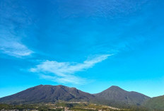 Energi Bersih dari Jawa Barat: Bagaimana Pengembangan PLTP Bisa Selaras dengan Konservasi Alam