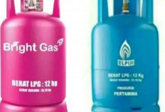 Rincian Harga Gas Terbaru April 2026: LPG 12 Kg dan 5,5 Kg Naik, LPG 3 Kg Tetap
