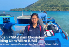 Menyeberang Laut dari Ambon ke Banda Neira, Kisah Vio Menjangkau Nasabah Ultra Mikro dari Rumah ke Rumah