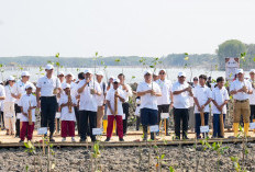 Lindungi Pantai Utara dari Abrasi, BRI Tanam 30 Ribu Bibit Mangrove dan Manfaatkan Sampah Jadi Pemecah Ombak