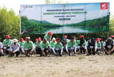 Bangun Rumah Semai Bibit Mangrove, AHM Tumbuhkan Harapan Baru bagi Pesisir Karawang
