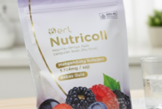 Kulit Mulai Kehilangan Elastisitas? Saatnya Rawat dari Dalam dengan Nutricoll B ERL