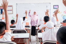 Sekolah Gratis SD-Kuliah Jadi Rencana Baru Pemerintah, Menkeu Ungkap Sumber Dananya
