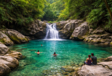 5 Hidden Gem Wisata Alam Bogor dengan View Indah di Tahun 2026