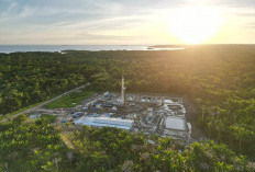 Pertamina Raih Peringkat 3 Fortune Southeast Asia 500, Motivasi untuk Perkuat Ketahanan Energi Nasional