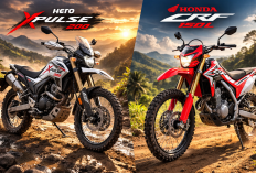 6 Motor Trail Harga Terjangkau 2026, Siap Jelajah Off-Road Tanpa Mahal