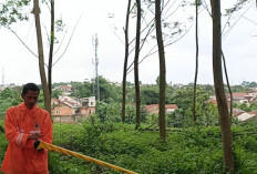 Tanah Eks Lokasi TPA Hutan Kota di Pondok Rajeg Longsor