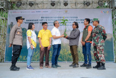 Yayasan AHM Kolaborasi dengan Masyarakat Pekalongan Lestarikan Satwa Owa Jawa