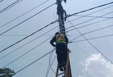 Jaga Jaringan Pangandaran, Aksi Nyata PLN Icon Plus Bikin Layanan Makin Stabil untuk Wisatawan