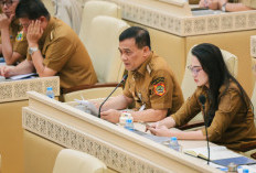Jaga Ketahanan Pangan, Ahmad Luthfi Perketat Perlindungan Lahan Sawah di Jateng