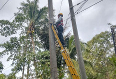 Dari Cikatomas untuk Konektivitas Andal, PLN Icon Plus Perkuat Penataan Infrastruktur Jaringan