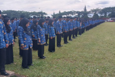 Punya 35.392 Pegawai Pemerintah, BKPSDM Bogor akan Lakukan Pemerataan Penyebaran Kerja