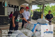 Perum BULOG Kantor Cabang Bandung Gaspol Serap Gabah Petani di Wilayah Sumedang