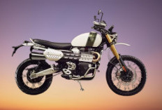 5 Motor Mewah 2026 yang Bikin Melirik, Nomor 3 Dipakai Dedi Mulyadi Keliling Jawa Barat