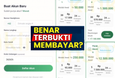 Fakta Sebenarnya di Balik Aplikasi Perak Murni