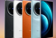 7 HP untuk Konten Kreator yang Wajib Dicoba, Hasil Video Auto Profesional