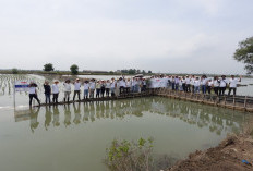 Tanam 10.180 Mangrove, Telin Wujudkan Komitmen Keberlanjutan BATIC 2025