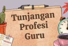 Tunjangan Profesi Guru Belum Masuk Rekening hingga Berbulan-bulan, Guru Honorer Ikut Terdampak