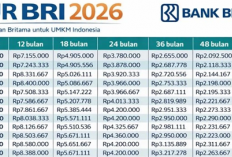 Simak Cicilan Pinjaman Rp10 Juta di KUR BRI 2026, Mulai Rp216 Ribuan