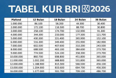 Cicilannya Aman Banget Nih buat UMKM! Berikut Simulasi KUR BRI 2026 Pinjaman Rp10 Juta