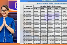 Ini Tabel Angsuran KUR BRI 2026 Terbaru, Pinjaman Rp10 Juta sampai Rp100 Juta! Cek Syarat dan Cara Ajukan!