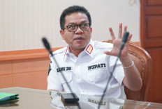 Pengajuan Penggunaan Dana BOSP untuk Honor Guru PPPK PW Pemkab Bandung Disetujui Mendikdasmen