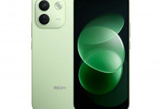Perbandingan Spesifikasi Xiaomi Redmi Note 17 Pro Max 5G vs Pro 5G Disini