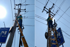 PLN Icon Plus Jawa Barat Perkuat Keandalan Jaringan Lewat P3AK di Jalur Cintalaksana Karawang