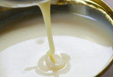 BGN Larang Susu Kental Manis di Menu MBG, Ini Jenis Susu yang Boleh Diberikan