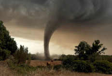 Januari-November, 1.652 Kejadian Bencana di Kabupaten Bogor