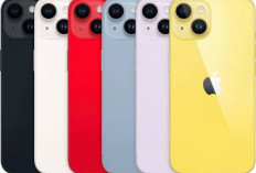 Rekomendasi iPhone Murah yang Masih Worth It Dibeli 2026, iPhone 14 Jadi Pilihan? 
