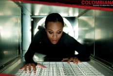 Sinopsis Film Colombiana: Aksi Zoe Saldana Membalas Dendam Terhadap Mafia