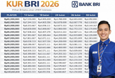 KUR BRI 2026 Cair hingga Rp300 Juta, Angsuran Mulai Rp1,5 Juta untuk UMKM