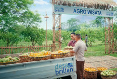 BRI dan Unsoed Resmi Mulai Desa BRILiaN 2026, Dorong Desa Jadi Pusat Pertumbuhan Ekonomi Baru