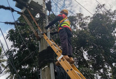 PLN Icon Plus Lakukan P3AK di Kecamatan Cimalaka untuk Jaga Keandalan Jaringan