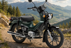 Honda Cross Cub 110 2026: Si Klasik Modern yang Siap Diajak Off-Road Ringan