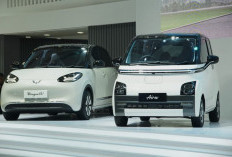 Ini 5 Mobil Listrik Murah Tahun 2026, Harga Super Ekonomis!