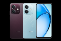 HP OPPO Murah Spek Gahar, Pilihan Terjangkau dengan Desain Elegan dan Baterai Tahan Lama!