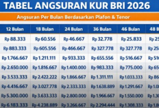 KUR BRI 2026: Pinjaman 1 Juta – 50 Juta di Bulan Maret, Cicilan Ringan & Bunga Rendah!