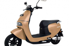 Ini Dia Motor Listrik China Murah Mulai Rp5 Jutaan, Ini Daftar Menariknya