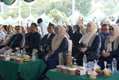 KDS Seimbangkan Penanganan Bencana dan Penguatan Ekonomi di HUT Kabupaten Bandung ke-385