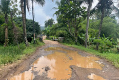 Tak Ada Perbaikan Meski Sudah Dilaporkan, Jalan Rusak di Cigintung Sumedang Dikeluhkan Warga