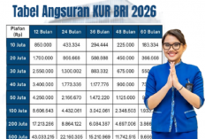 Mau Ajukan KUR BRI 2026? Ini Tabel Angsuran dari Rp1 Juta sampai Rp100 Juta untuk UMKM