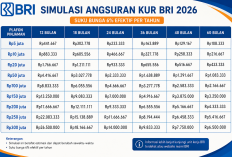 Tabel Angsuran KUR BRI Juli 2026 Terbaru, Simak Cicilan Pinjaman Mulai Rp5 Juta hingga Rp300 Juta