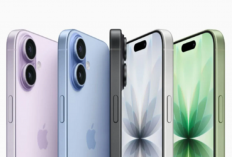 iPhone Murah Terbaik 2026 untuk Konten Kreator, Hasil Video Keren Tanpa Harus Beli Series Terbaru