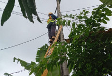 Perkuat keandalan Jaringan, PLN Icon Plus melakukan kegiatan perapihan Kabel Fiber Optik di Jatigede Sumedang