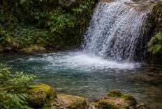 5 Wisata Alam Tasikmalaya 2026 yang Wajib Dikunjungi untuk Liburan Keluarga