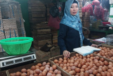 Harga Telur di Pasar Cibinong Masih Stabil, Wilayah Lain Sentuh Rp 100 Ribu per Kilogram