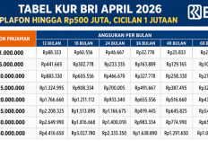 Tabel KUR BRI April 2026: Plafon hingga Rp500 Juta, Cicilan 1 Jutaan