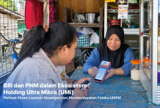 Berkat Holding Ultra Mikro, Pemilik Laundry di Kalimantan Ini Sukses Kembangkan Usaha Jadi BRILink Agen
